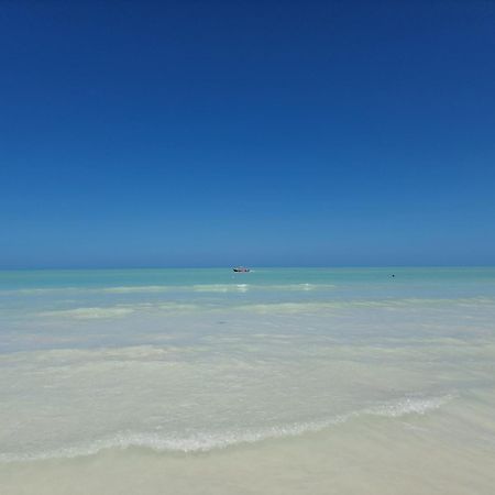 Luna Y Sol Glamping Holbox Exteriér fotografie